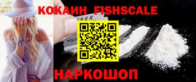 стаф Кинель