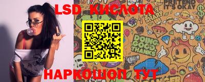 бошки Кимры
