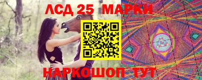 бошки Кимры