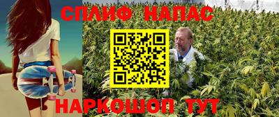 бошки Кимры