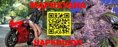 стаф Кинель