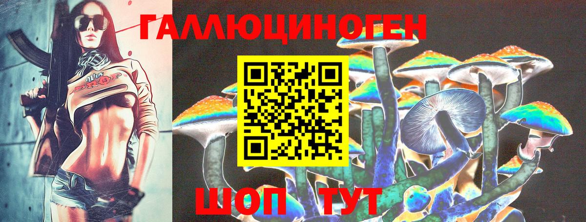 Псилоцибиновые грибы Psilocybine cubensis Куйбышев